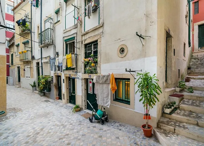 Whome Beco Patacas Perfect Location To Explore 아파트
