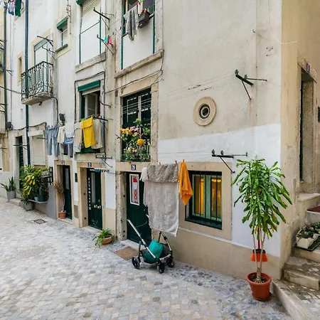 Whome Beco Patacas Perfect Location To Explore Apartmán