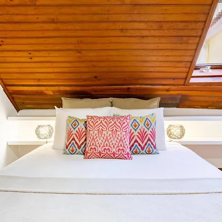 Whome Beco Patacas Perfect Location To Explore Appartement